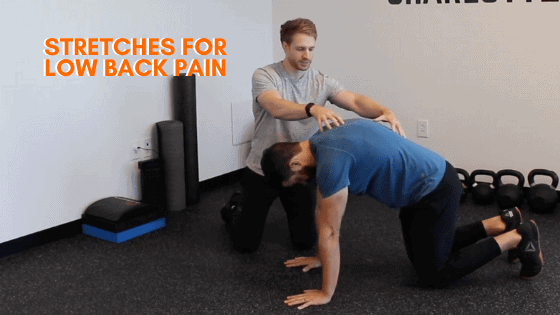 Stretches for Low Back Pain