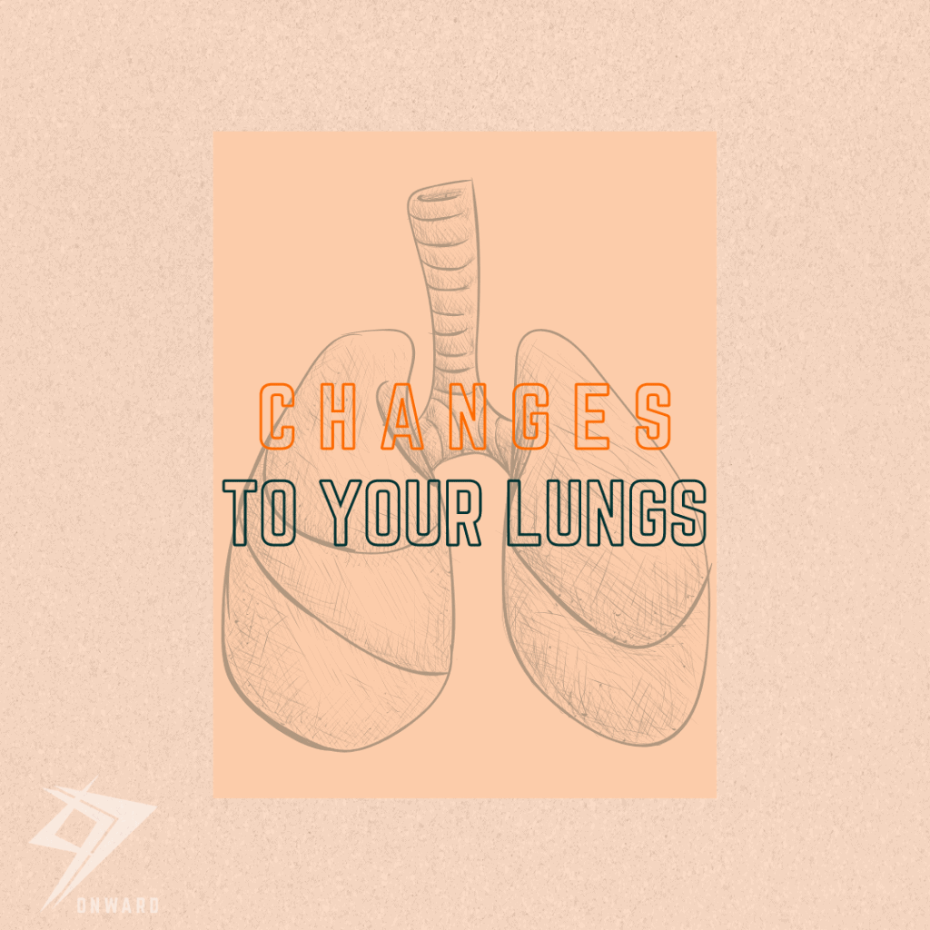 Lung & Respiratory Changes from Pregnancy