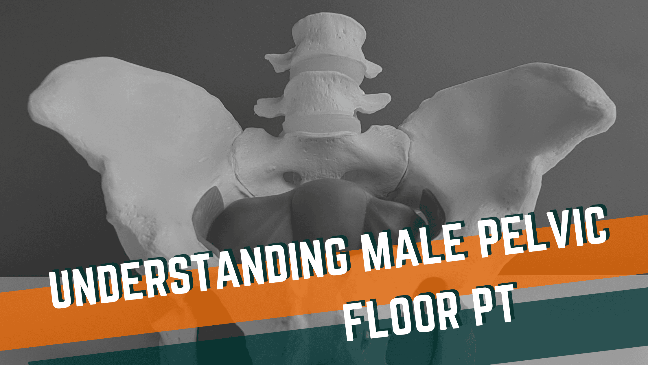 Featured image for “Understanding Male Pelvic Floor Physical Therapy”
